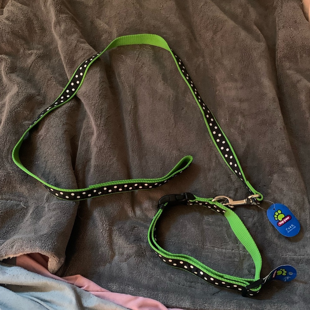 Dog Collar & Leash